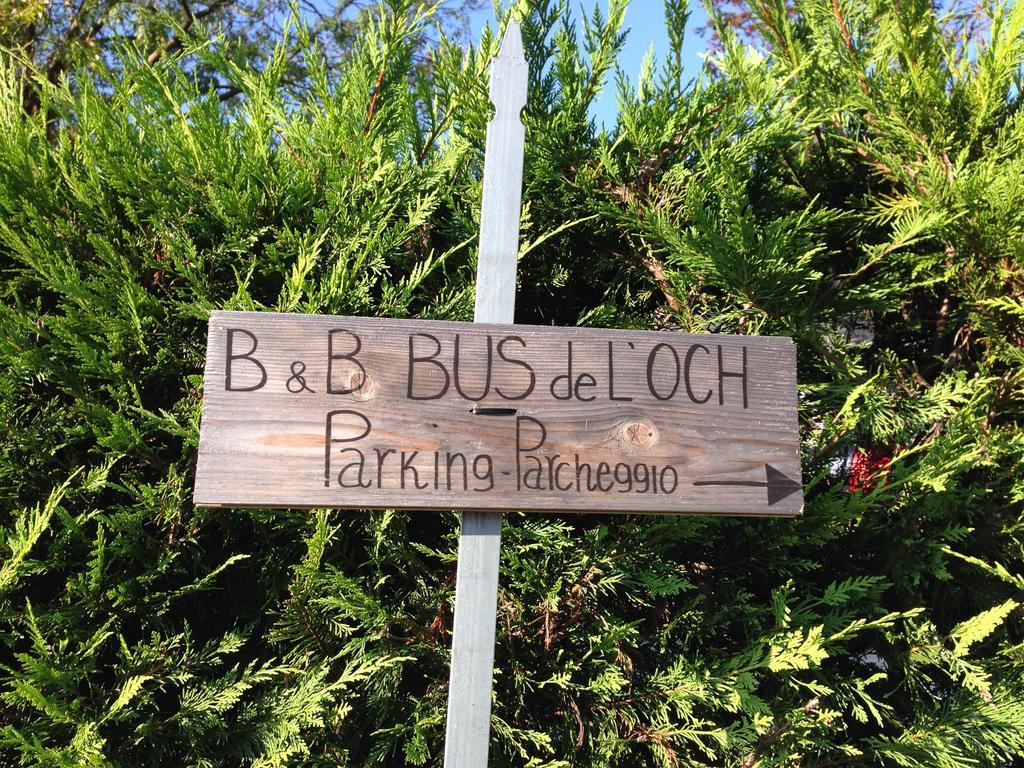 Bus De L'Och Bed and Breakfast Feltre Exteriör bild